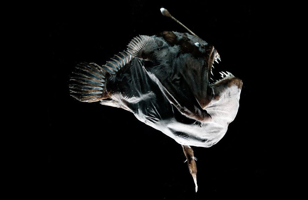 notion image